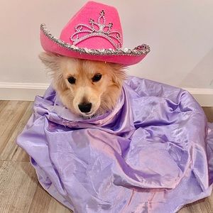 Meet your Posher, Nikki